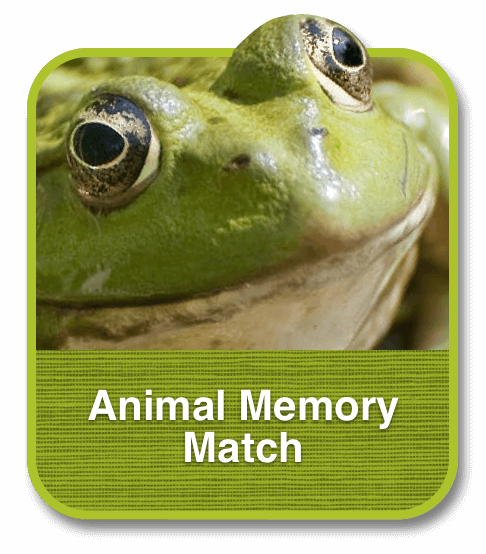 Animal Memory Match